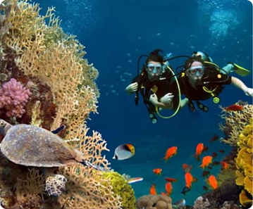Andaman_Unveiled