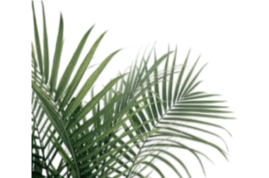 treeimg